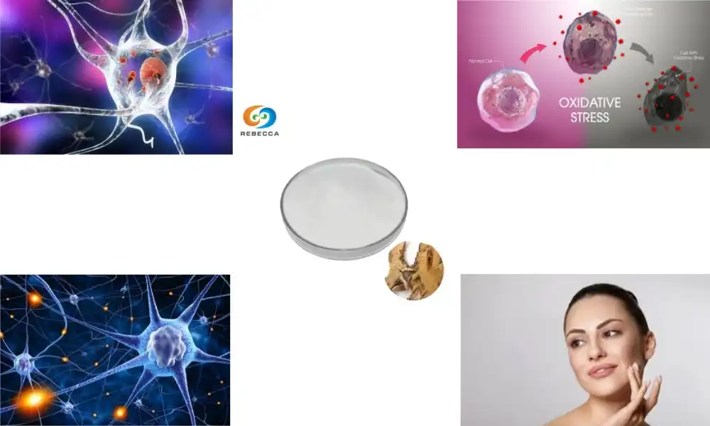 Resveratrol Powder: Protect Your Cells from Oxidative Stress